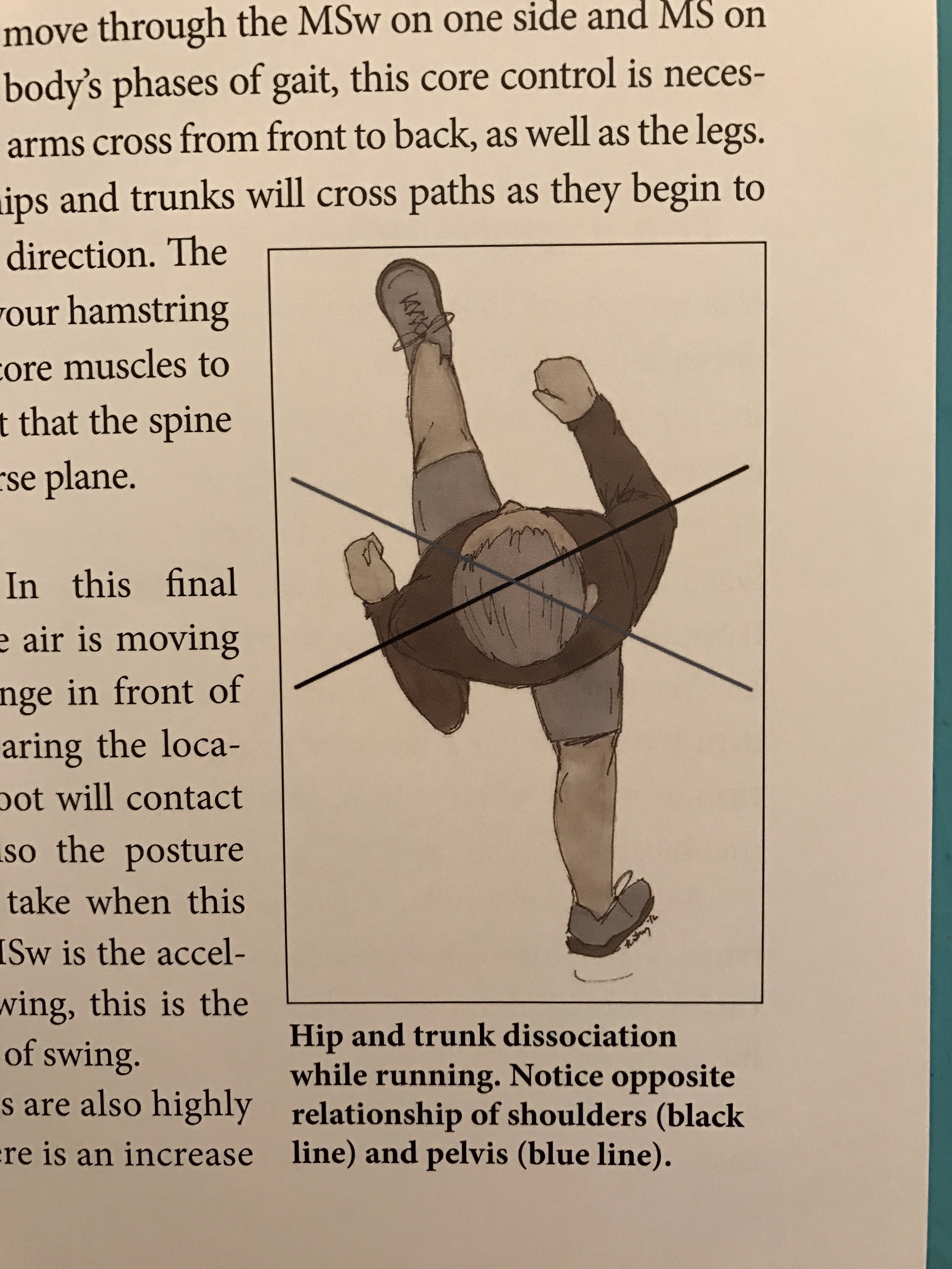 Runner's Guide to a Healthy Core