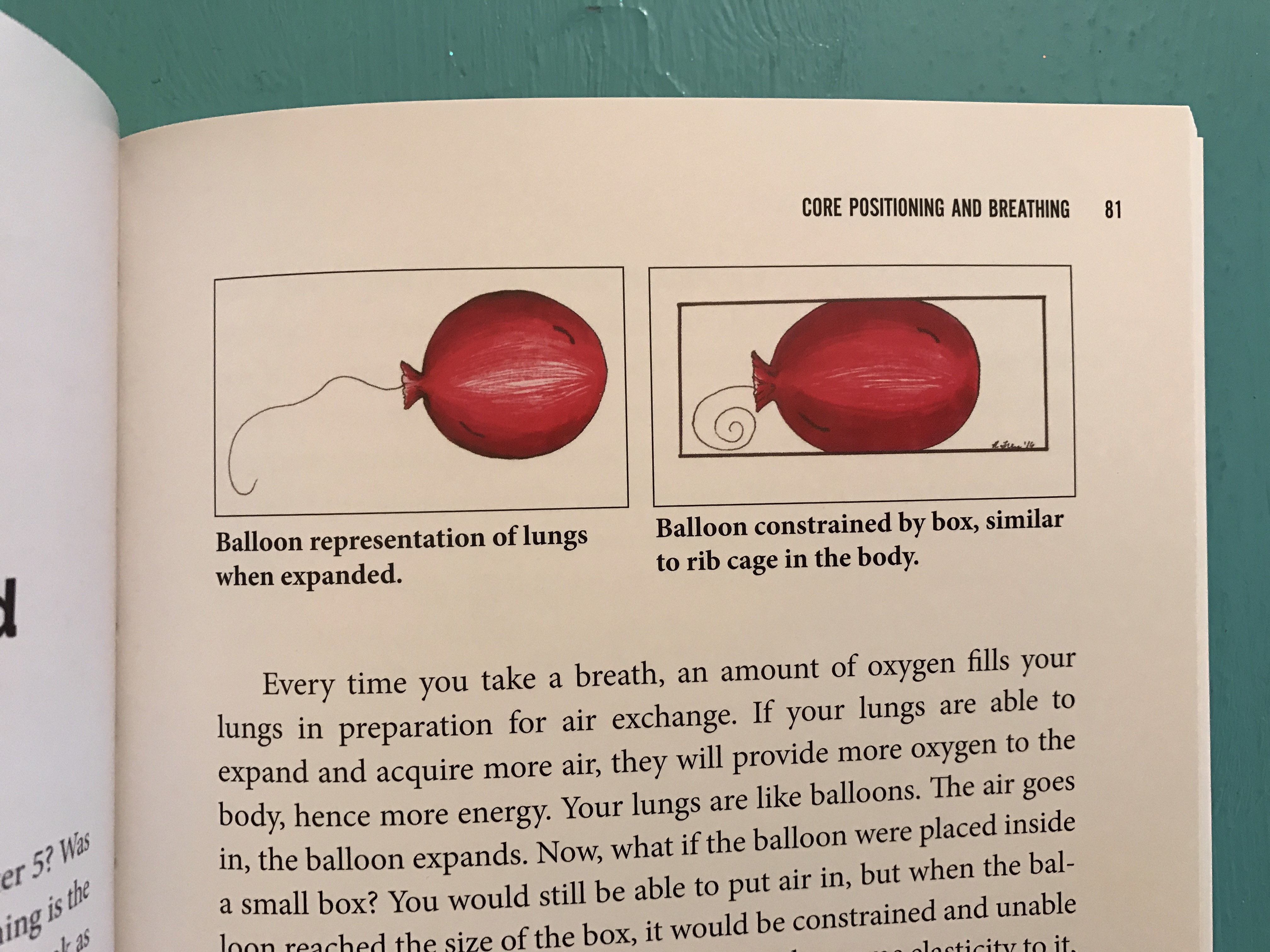 Runner's Guide to a Healthy Core