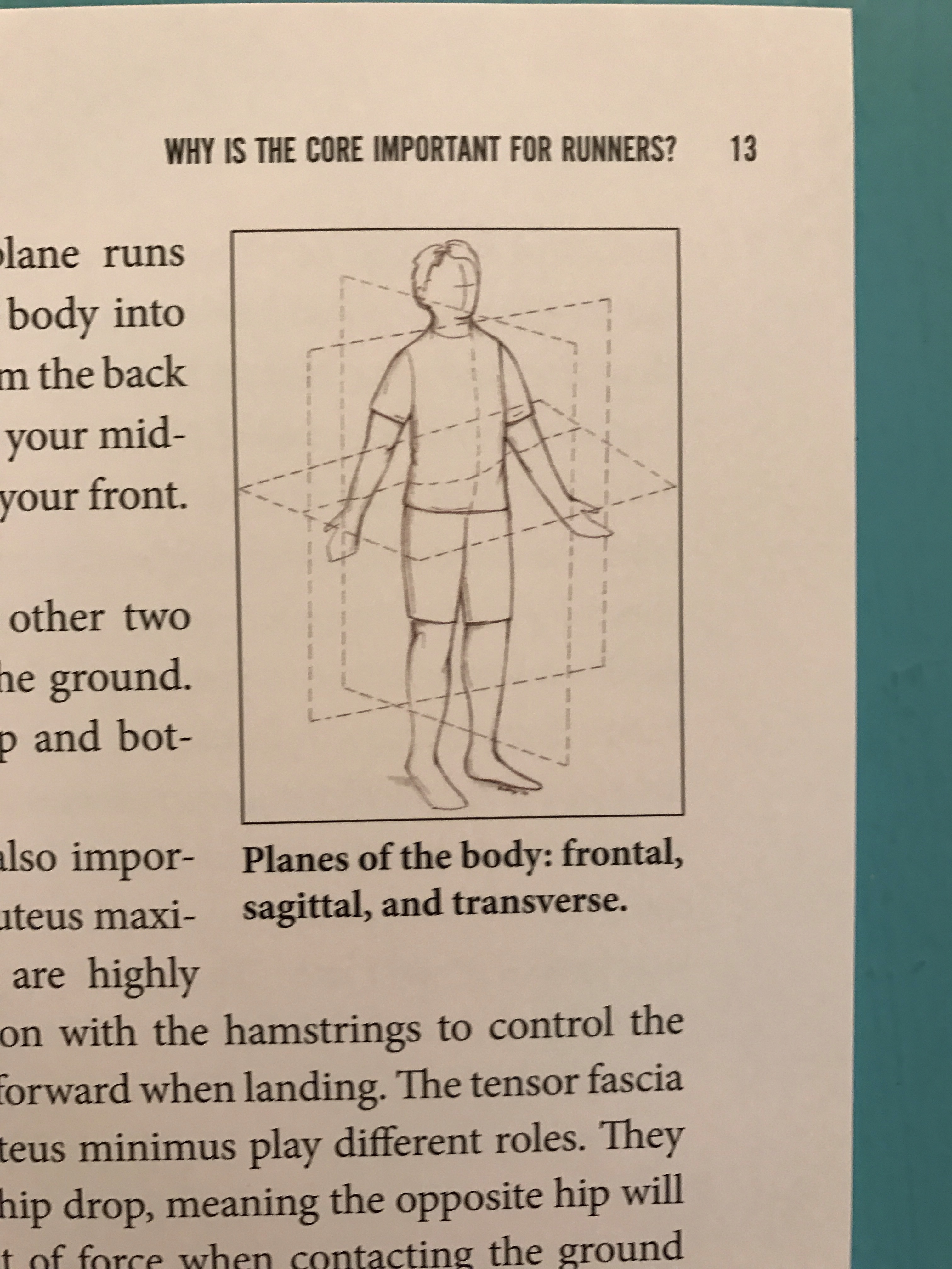 Runner's Guide to a Healthy Core