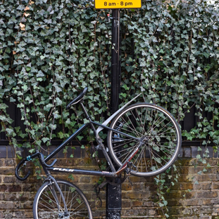 DSC_0269.jpeg